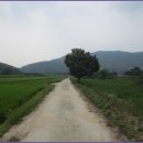 부론초등학교 이미지