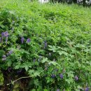 도라마을회관 이미지