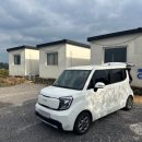 퐁낭에염 이미지