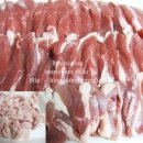 오리한마리 이미지