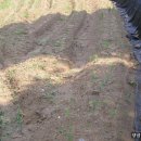 흙내음농장 이미지