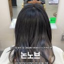 논노브