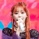 헤어츄 TV리포트