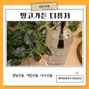 [공지] 이사선물 추천 땅고가든 디퓨저 자연의 향기 가든 시그니처향 사용팁과 솔직후기