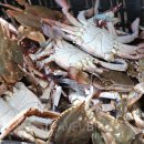 뉴프린스관광호텔 이미지