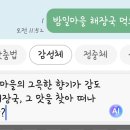 카톡 AI 번역?? 이거 너무 웃김 이미지