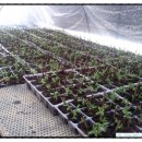 세윤농장 이미지