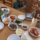 삼미삼계탕 이미지