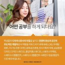 홍선관
