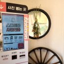 도화자판기