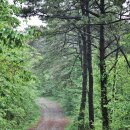 명산장어 이미지