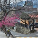 순천기독의원 이미지