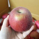 충주한울농장