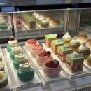 젠틀러 | 🍬 분당/정자 디저트 맛집 추천 :: 분위기 좋은 카페 <젠틀러> 품절대란 프레지에 케이크 내돈내산 후기