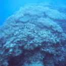 해우환경 이미지