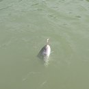 용연낚시터 이미지