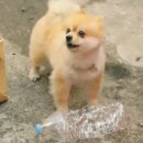 해피 이미지