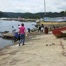 동백환경 이미지