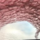 영랑레드24세차장 이미지