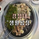 생활곱창 | 경성대부경대역 곱창 맛집 “생활 곱창” 후기