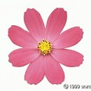 평안민박 이미지