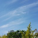 오늘하루 이미지