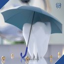 단단플란트치과의원 이미지