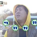 강아지의 하루 이미지