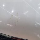 마프라 프로 이미지