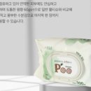푸티 이미지