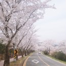 주전공원화장실 이미지