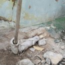 (주)마루산업 이미지