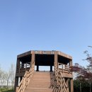 하단동1163 이미지