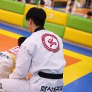 학사 태권도 이미지