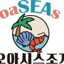 오아시스조개 이미지