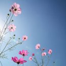 멋진하루 이미지