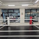 더 프리미엄 복싱 이미지