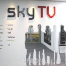 스카이파크 빌딩 이미지