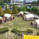 메디팜고려약국 이미지