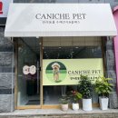 카니쉬펫 네이버블로그