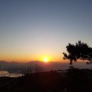 주주종합동물병원 이미지