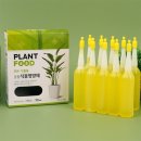 로컬코리아 이미지