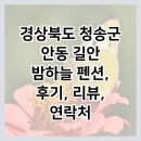 길안 밤하늘 펜션 이미지