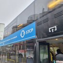 마! 주인 | 비 오고 흐린 날 마토지뉴스 Matosinhos 다녀오기 | 포르투갈 포르투