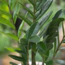 김우영 농장 이미지