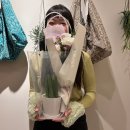 플로샤 이미지