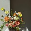 발레드무이 이미지