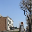 손세차&타이어 | 용인 처인구 시내 일요일 손세차 타이어사자 내돈내산 마이클후기