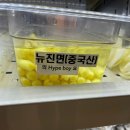 뉴진