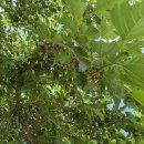 공백가든 이미지